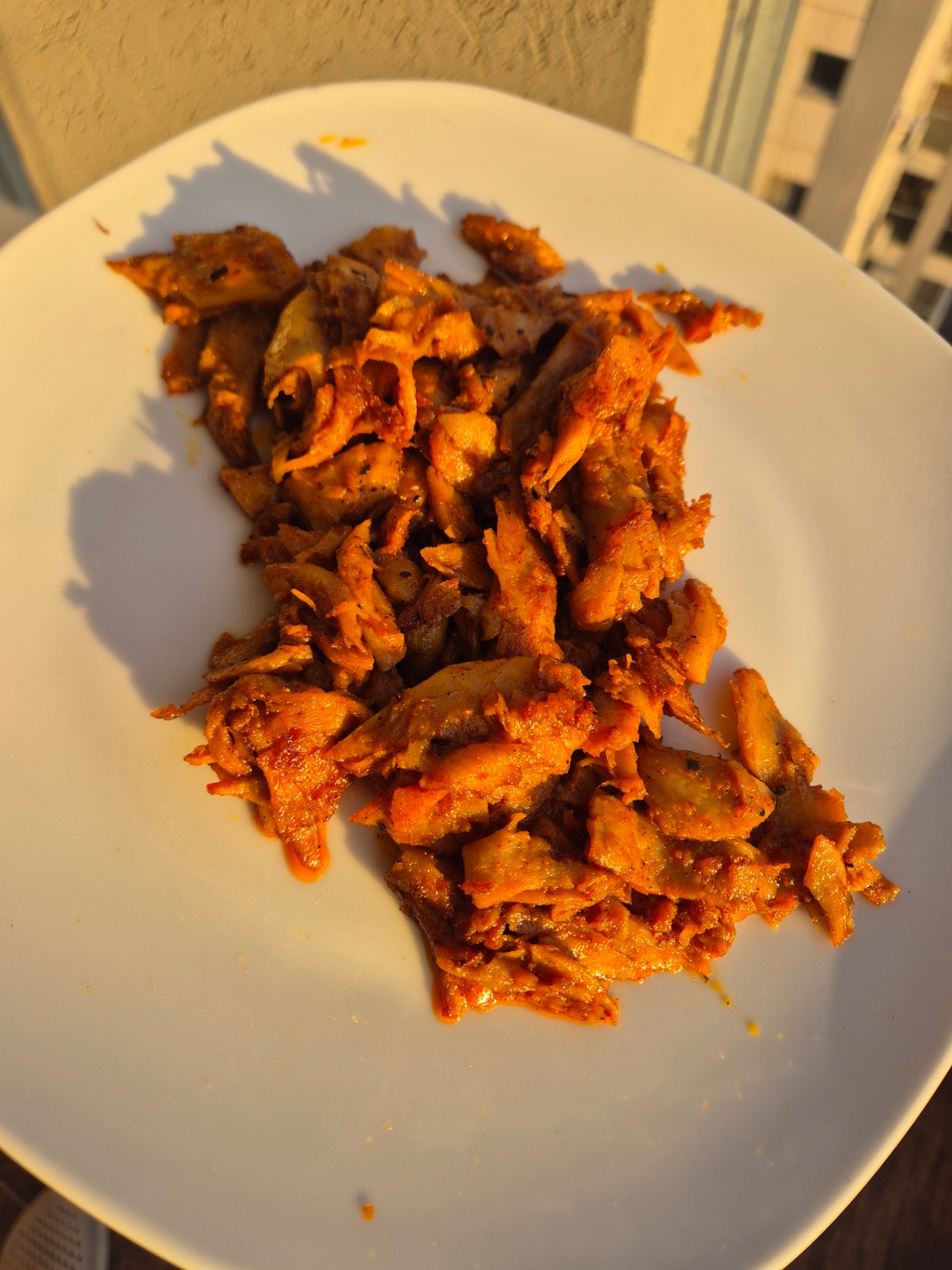 Plate of red-spiced Provero shawarma in golden hour light